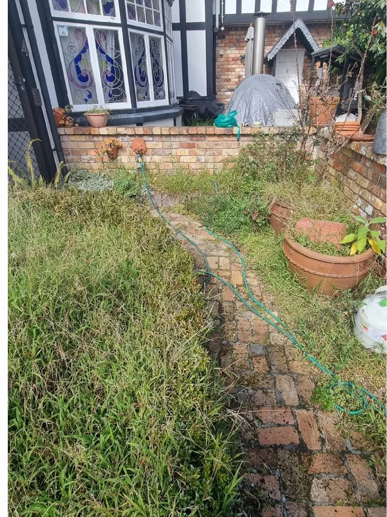 Garden bed tidy-up: before work