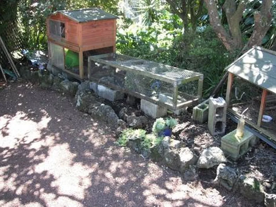 Garden clearance and timber path: after work
