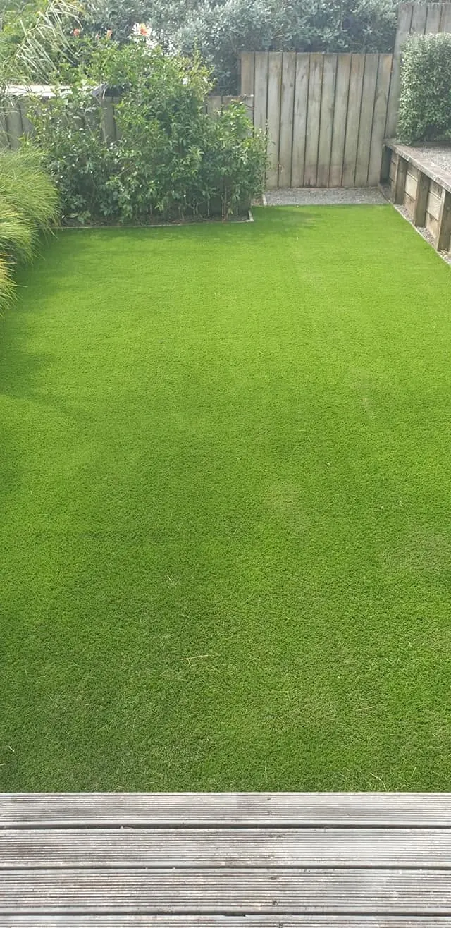 Courtyard lawn transformation: after work
