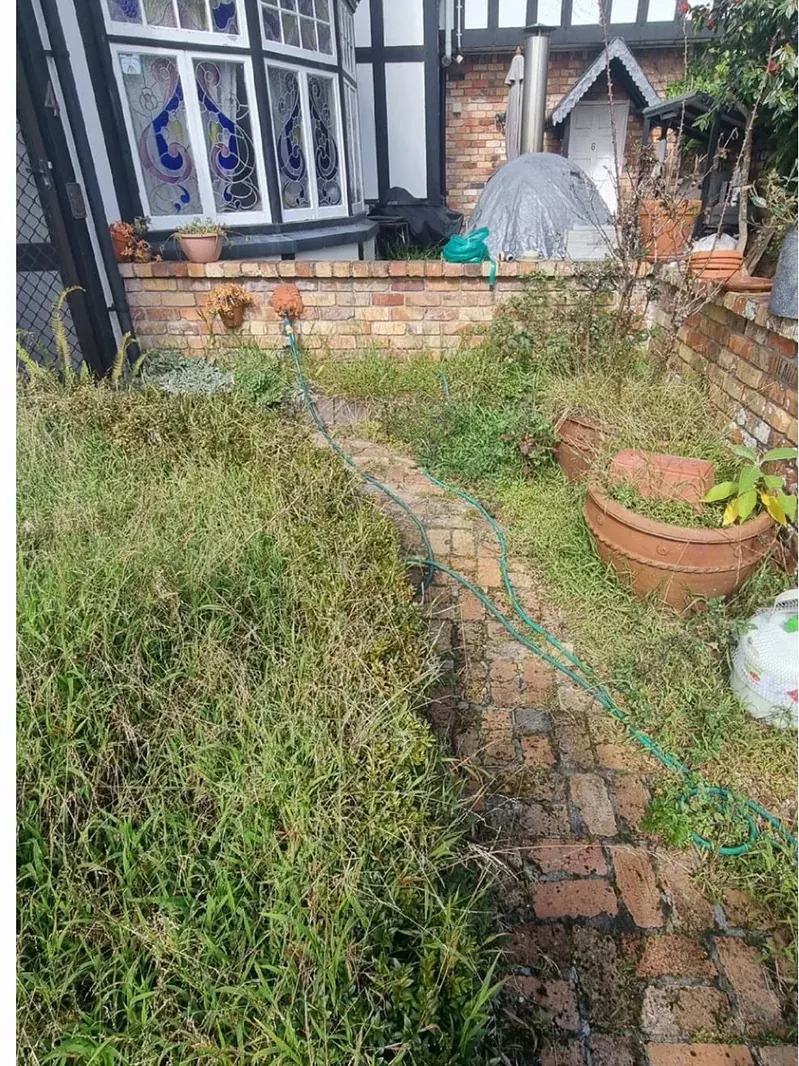 Garden bed tidy-up: before work