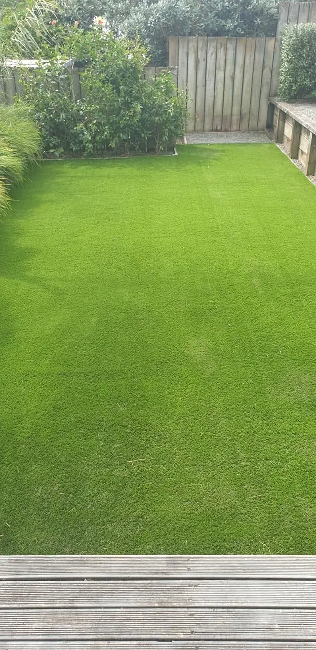 Courtyard lawn transformation