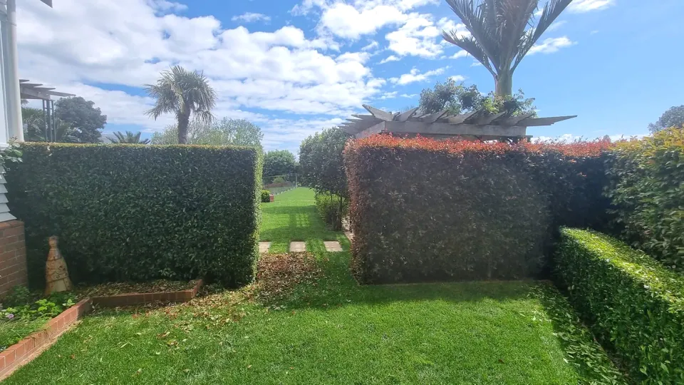 Clipped hedges framing a lawn and garden border
