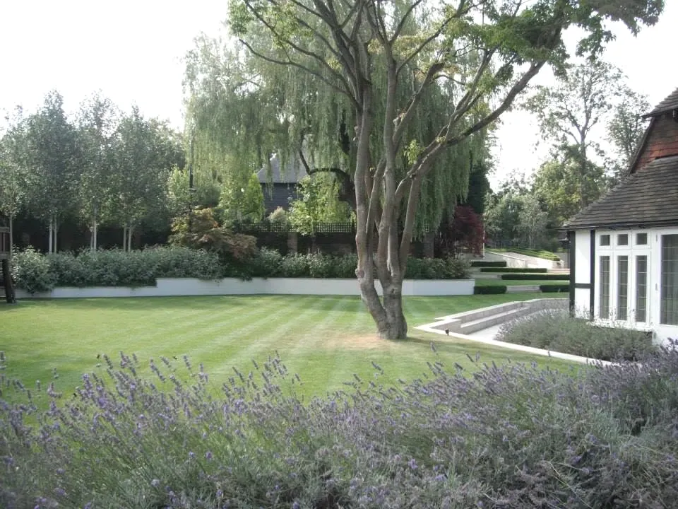 An established garden and tree, from the Green Fingers Gardens archive