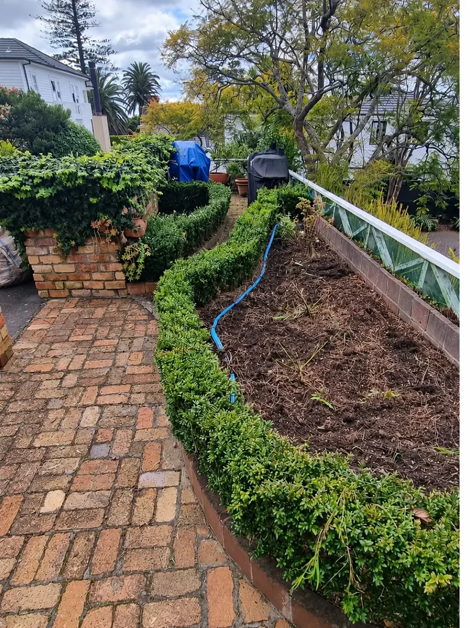 A cleared garden bed beside a trimmed hedge and brick path