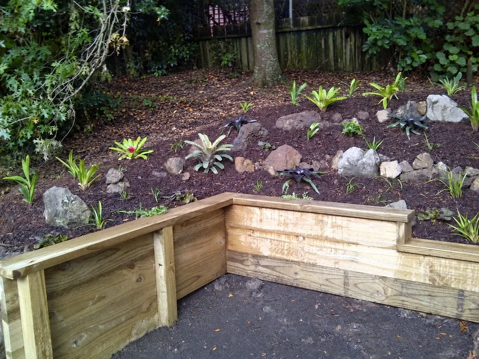 New planting in raised garden beds