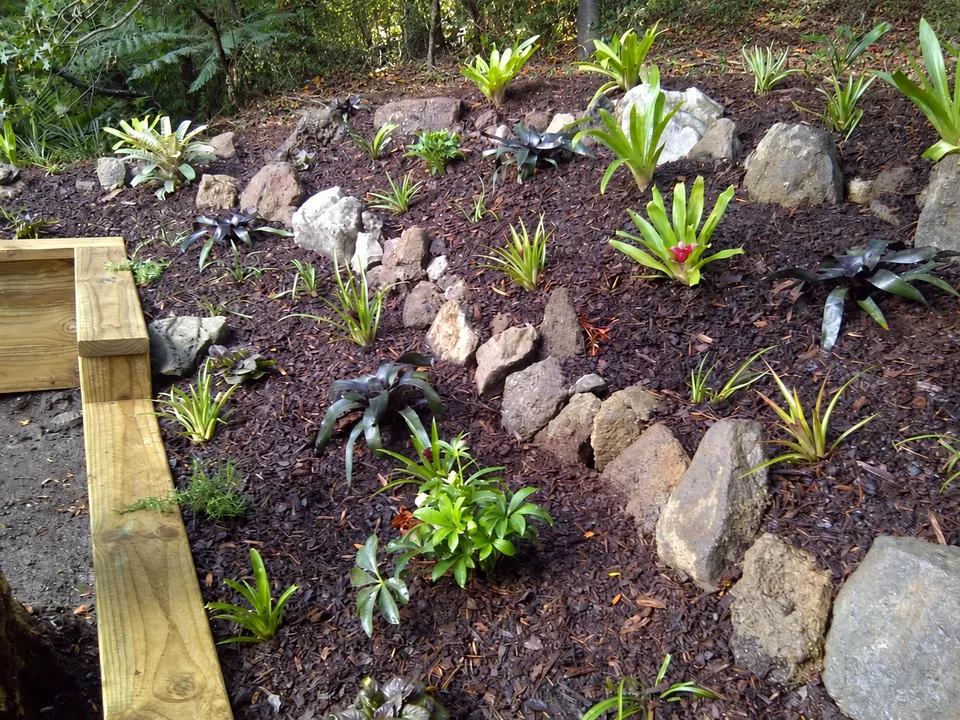 New plants among rocks above timber retaining beds